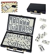 Amazon.com: GOTHINK Portable Professional Double 9 Dominos Set for